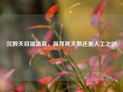 沉醉天目湖温泉，探寻其天然还是人工之谜