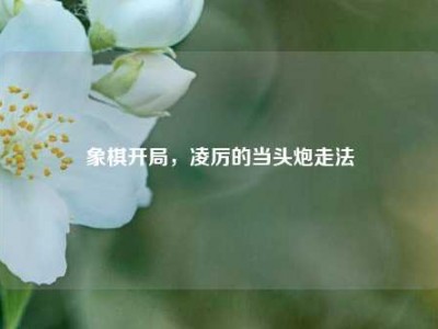 象棋开局，凌厉的当头炮走法