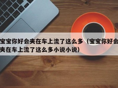 宝宝你好会夹在车上流了这么多（宝宝你好会夹在车上流了这么多小说小说）