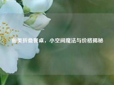 曲美折叠餐桌，小空间魔法与价格揭秘
