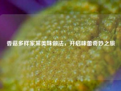 香菇多样家常美味做法，开启味蕾奇妙之旅
