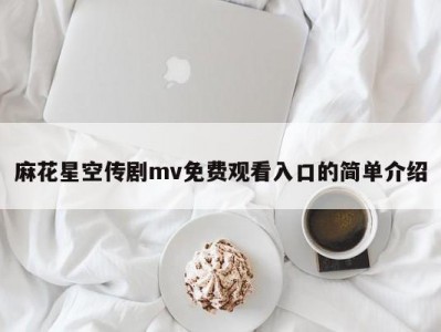 麻花星空传剧mv免费观看入口的简单介绍