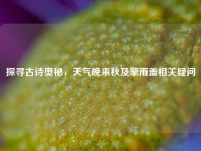 探寻古诗奥秘，天气晚来秋及擎雨盖相关疑问
