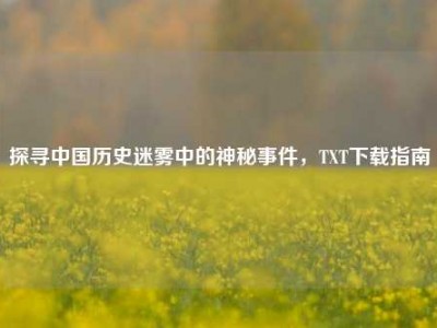 探寻中国历史迷雾中的神秘事件，TXT下载指南