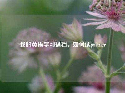我的英语学习搭档，如何读partner