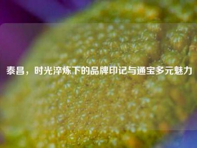 泰昌，时光淬炼下的品牌印记与通宝多元魅力