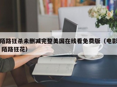 陌路狂杀未删减完整美国在线看免费版（电影 陌路狂花）