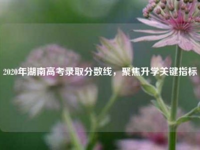 2020年湖南高考录取分数线，聚焦升学关键指标