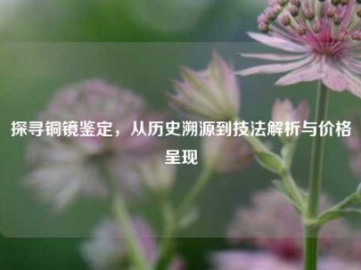 探寻铜镜鉴定，从历史溯源到技法解析与价格呈现