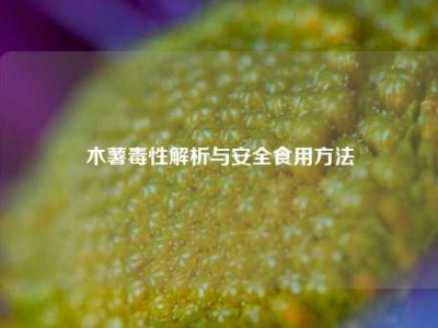 木薯毒性解析与安全食用     