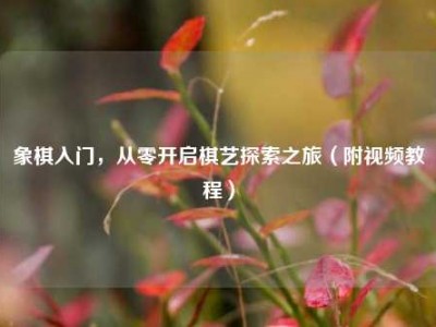 象棋入门，从零开启棋艺探索之旅（附视频教程）