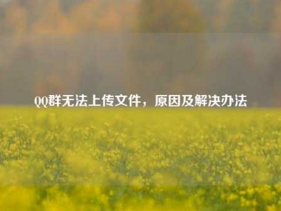      群无法上传文件，原因及解决办法