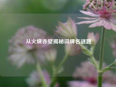 从火烧赤壁揭秘词牌名谜题