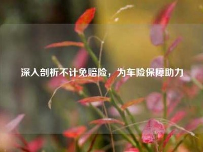 深入剖析不计免赔险，为车险保障助力