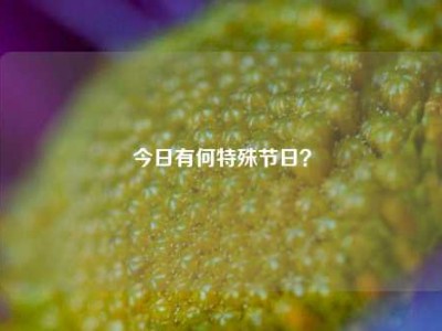 今日有何特殊节日？