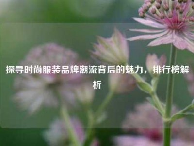 探寻时尚服装品牌潮流背后的魅力，排行榜解析