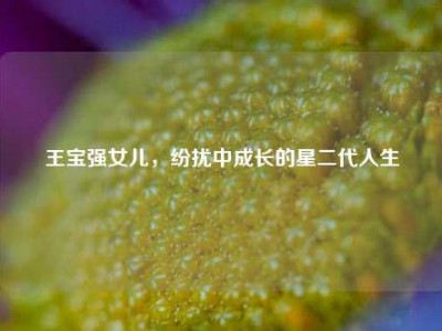 王宝强女儿，纷扰中成长的星二代人生