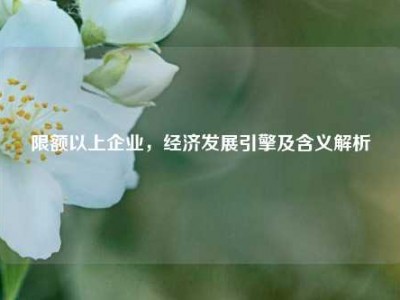 限额以上企业，经济发展引擎及含义解析