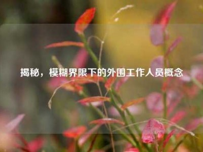 揭秘，模糊界限下的外围工作人员概念