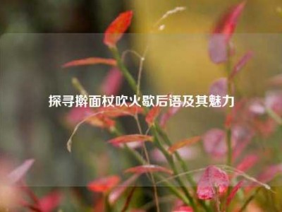 探寻擀面杖吹火歇后语及其魅力