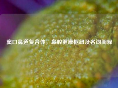 窦口鼻道复合体，鼻腔健康枢纽及名词阐释