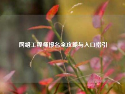      工程师报名全攻略与入口指引