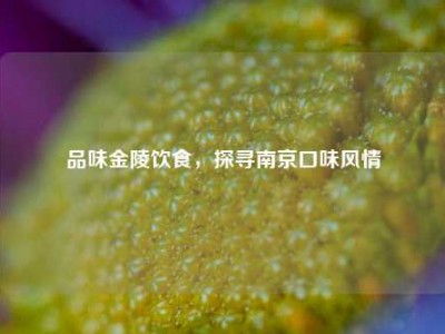 品味金陵饮食，探寻南京口味风情