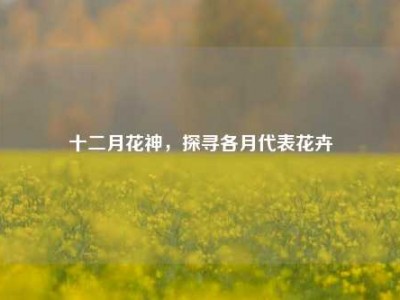 十二月花神，探寻各月代表花卉