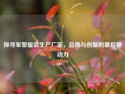 探寻军警服装生产厂家，品质与创新的幕后驱动力