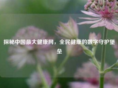 探秘中国更大健康网，全民健康的数字守护堡垒