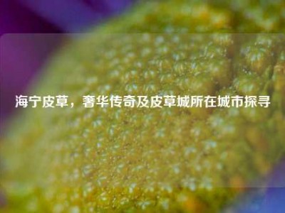 海宁皮草，奢华传奇及皮草城所在城市探寻