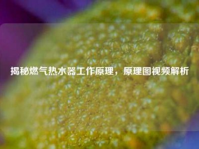 揭秘燃气热水器工作原理，原理图视频解析