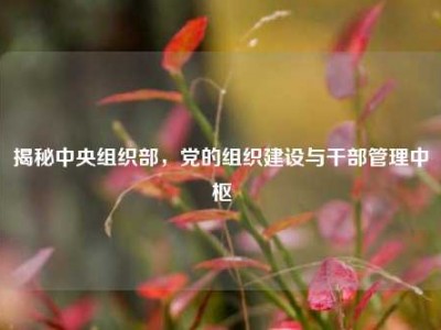 揭秘中央组织部，党的组织建设与干部管理中枢