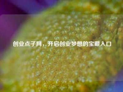 创业点子网，开启创业梦想的宝藏入口