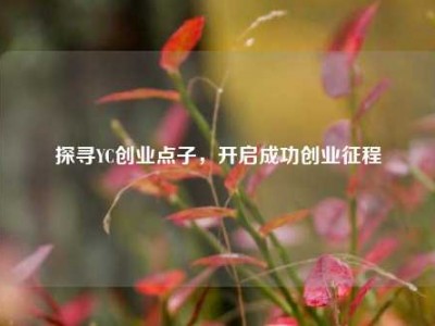 探寻YC创业点子，开启成功创业征程