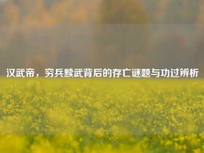 汉武帝，穷兵黩武背后的存亡谜题与功过辨析