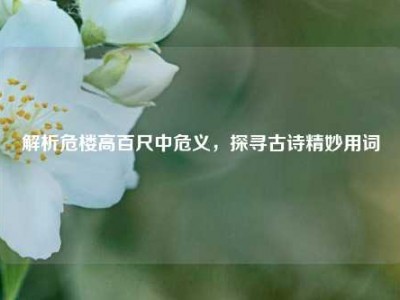 解析危楼高百尺中危义，探寻古诗精妙用词