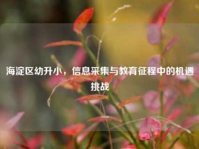 海淀区幼升小，信息采集与教育征程中的机遇挑战