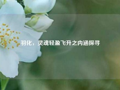 羽化，灵魂轻盈飞升之内涵探寻
