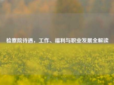 检察院待遇，工作、福利与职业发展全解读