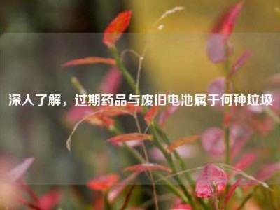 深入了解，过期药品与废旧电池属于何种垃圾