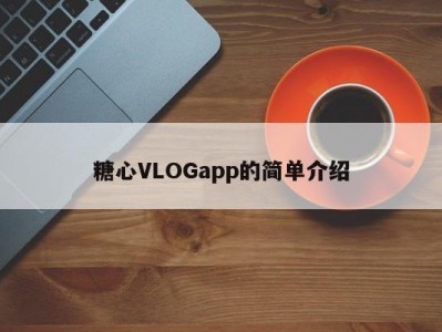 糖心VLOGapp的简单介绍