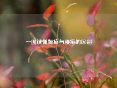 一图读懂肾疼与腰疼的区别