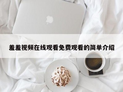 羞羞视频在线观看免费观看的简单介绍