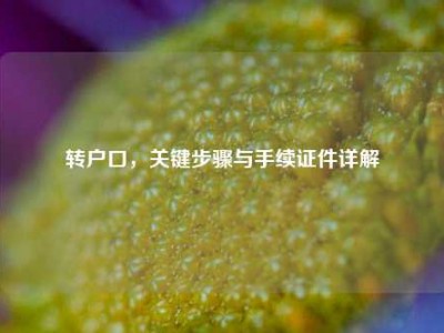 转户口，关键步骤与手续证件详解