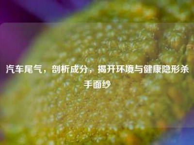 汽车尾气，剖析成分，揭开环境与健康隐形杀手面纱