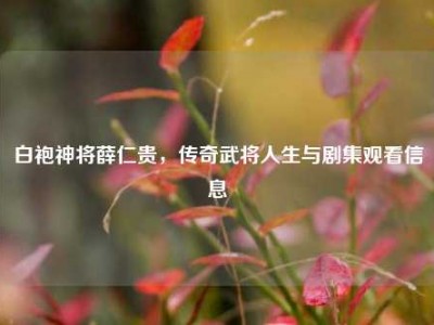 白袍神将薛仁贵，传奇武将人生与剧集观看信息