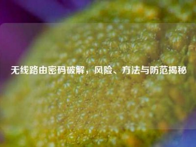 无线路由密码破解，风险、     与防范揭秘