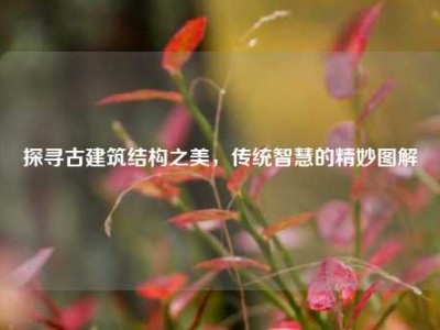 探寻古建筑结构之美，传统智慧的精妙图解