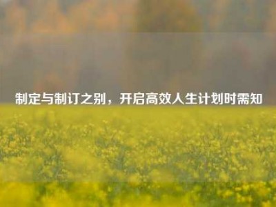 制定与制订之别，开启高效人生计划时需知